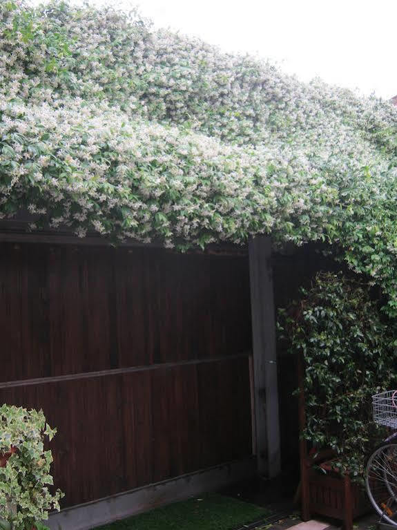 Casa Di Carlo Goldoni - Dimora Storica Chioggia Exterior foto